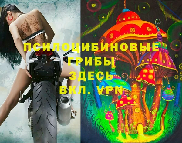 ГАЛЛЮЦИНОГЕННЫЕ ГРИБЫ Арсеньев